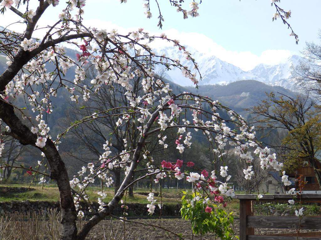 Hotel Heidi Hof Hakuba Esterno foto