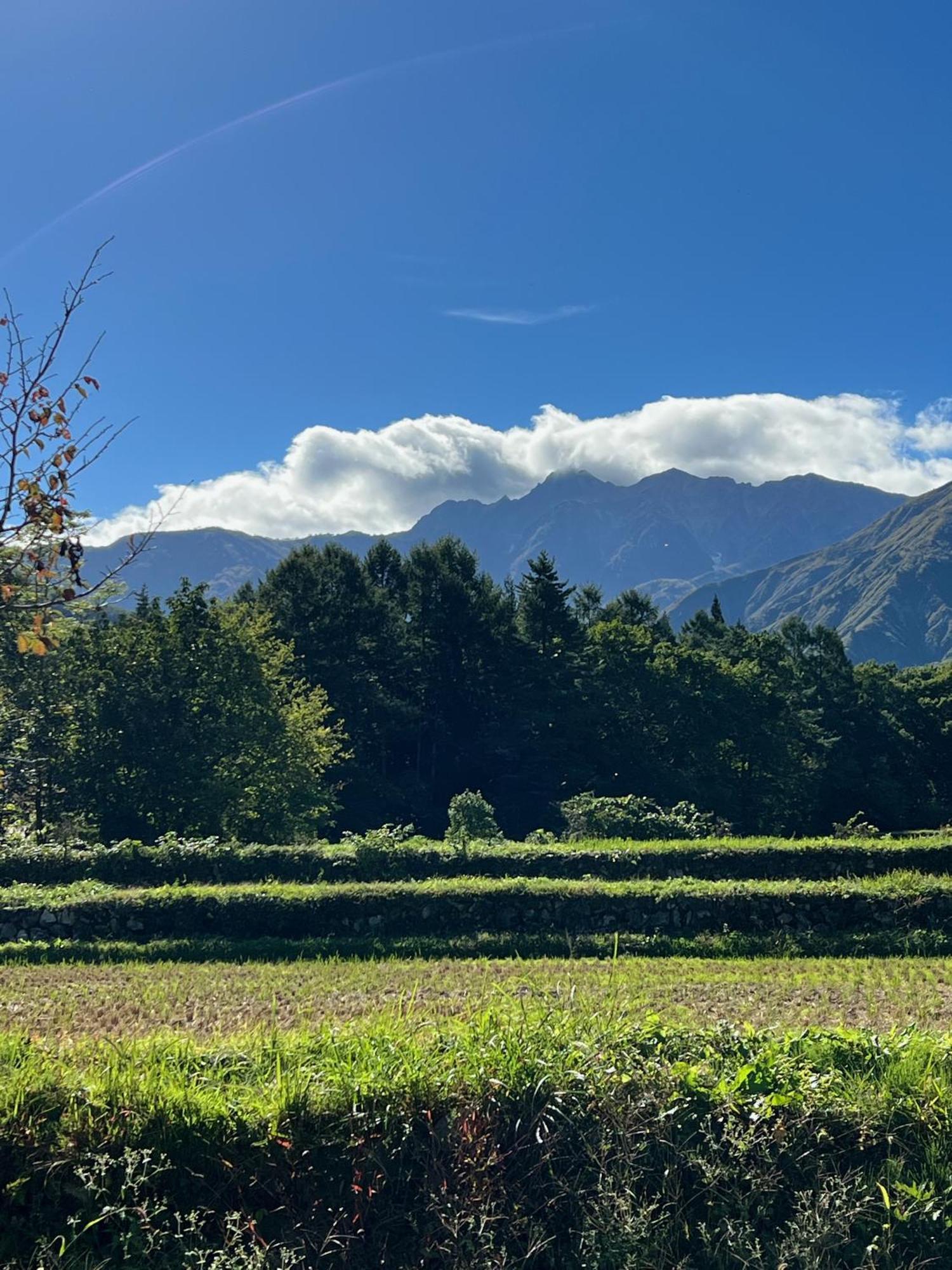 Hotel Heidi Hof Hakuba Esterno foto